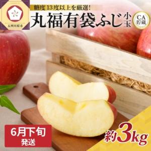 ふるさと納税 五所川原市 【2023年6月下旬発送】CA貯蔵冷た〜い可愛い小玉サイズりんご丸福有袋ふじ青森産約3kgクール便