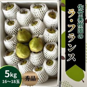 西洋梨(ラ・フランス)5kg　0041-2604