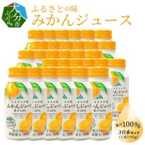 ふるさと納税 大分市 ふるさとの味みかんジュース　果汁100%　190g×30本_I02064