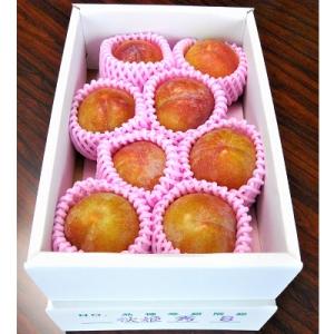 ふるさと納税 上山市 すもも(秋姫)2.4kg　0017-2607