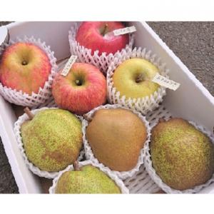 ふるさと納税 上山市 ラ・フランスとりんご2品種以上の詰合せ　3kg　ご家庭用　0075-2211