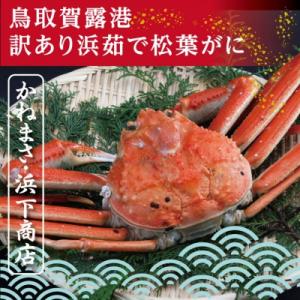 ふるさと納税 鳥取市 鳥取賀露港 訳あり浜茹で松葉がに 大 1枚(かねまさ・浜下商店)