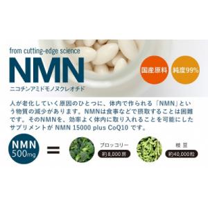 ふるさと納税 富士宮市 NMN15000 pl...の詳細画像1