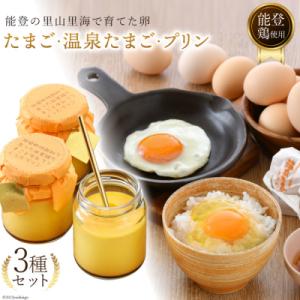 たまご 2種& 温泉たまご (だし付き) & プリン [ナカヤマエッグ 石川県 38600467]