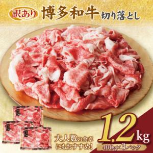 寄附額改定↓↓ 【訳あり】博多和牛　切り落とし2kg (500g×4パック)