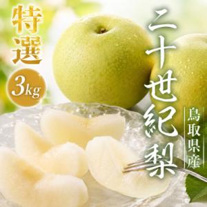 【2026年発送】二十世紀梨 特選3kg