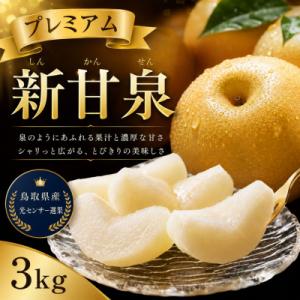 【2026年発送】プレミアム新甘泉 3kg