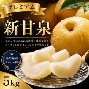 【2026年発送】プレミアム新甘泉 5kg