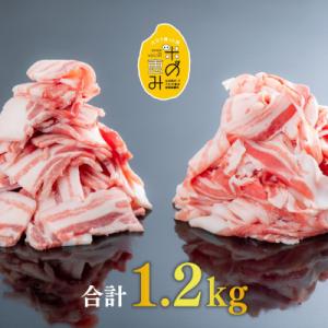 ふるさと納税 豊後高田市 【合計1.2kg】中川さんちの米の恵み豚バラセット