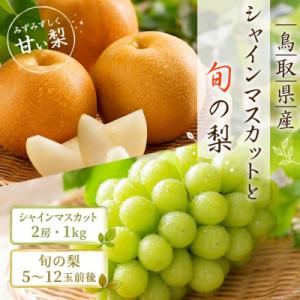 シャインマスカットと旬の梨セット(大)