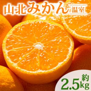 みかん 温室 人気 2.5kg ハウスみかん 山北みかん 高級 高知  ku-0051