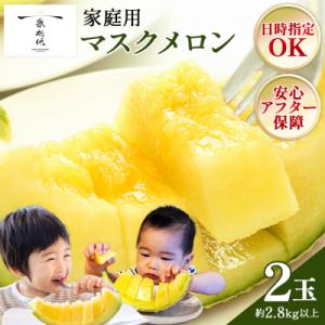 訳あり メロン2玉入り 青肉 2個 家庭用 マスクメロン 数量限定 tn-0025