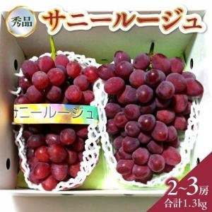 ぶどう(サニールージュ)1.3kg　0142-2603