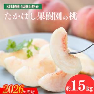 たかはし果樹園の桃　8月収穫約1.5kg【2026年発送 先行受付】No.1905