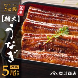 横山桂一さんのS級鰻 特大サイズ5尾(計900g以上)