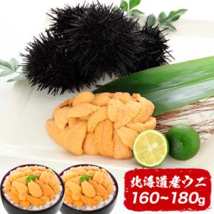 ふるさと納税 根室市 ＜計160g以上＞ムラサキウニ塩水パック80〜90g×2P A-81012