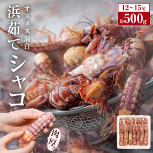 ふるさと納税 石巻市 季節限定 宮城県産 浜茹で シャコエビ 500g(オスメス混合)冷蔵 産地直送 殻付き 子持ち 肉厚｜さとふる