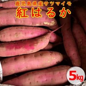 【2025年内発送】【農家直送】薩摩で育てたさつまいも(紅はるか)洗い5kg中サイズ ZS-906