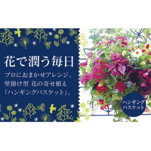 ふるさと納税 山口市 花うるる特製アレンジ・おまかせハンギングバスケット〜Mサイズ　C053