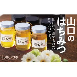 ふるさと納税 山口市 山口のはちみつ　500g×3本 C033