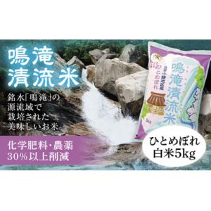 ふるさと納税 山口市 鳴滝清流米5kg E014