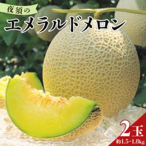 【発送開始】高知県産 エメラルドメロン 2玉 yu-0049
