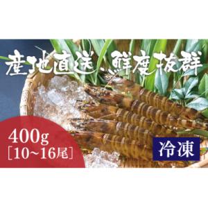 ふるさと納税 山口市 活き締め冷凍あいおえび400g(10〜16尾) D168