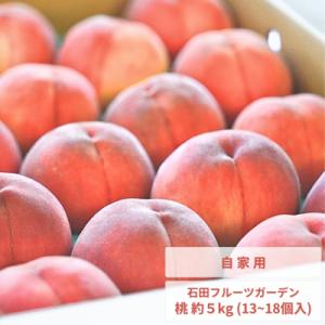 先行受付 桃 自家用 約5kg (11～18個入)  [2026年発送分] 【011P012】