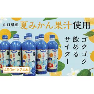 ふるさと納税 山口市 長州地サイダー(夏みかん) D159