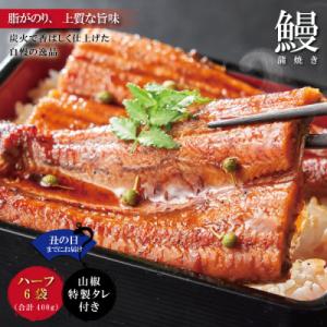 ふるさと納税 四万十市 【土用の丑の日までにお届け】&lt;四万十食品&gt;うなぎ蒲焼　ハーフ6袋/CD　24...