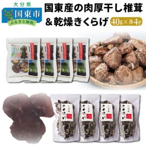 国東産の肉厚干し椎茸(冬菇 どんこ)&乾燥きくらげ_29060A
