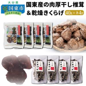 ふるさと納税 国東市 国東産の肉厚干し椎茸(冬〓)&乾燥きくらげ_29060A