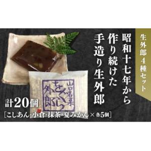 4種類の生外郎20個セット D181