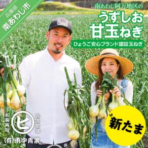 淡路島産新玉ねぎ　うずしお甘玉ねぎ　3kg　◆配送2月下旬～6月下旬