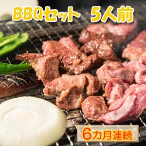 ふるさと納税 木古内町 【6カ月連続】エンジョイ!BBQセット　〜焼肉6種　5人前コース〜[No.5...