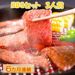 ふるさと納税 木古内町 【6カ月連続】ハッピー!BBQセット　〜焼肉5種　3人前コース〜[No.52...