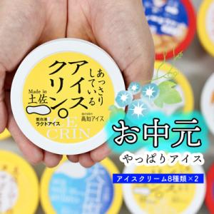 ★お中元★高知アイスの「アイスクリーム」　16個セット(8種類×2個)