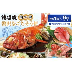 ふるさと納税 東伊豆町 (冷凍) 贅沢なごちそう定期便 毎月1回×6回+毎回人気の珍味付き G010 / 徳造丸 東伊豆町