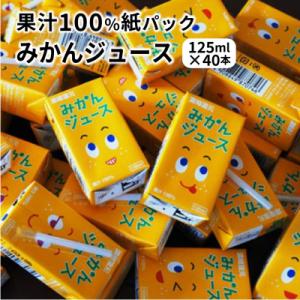 ふるさと納税 国東市 果汁100%紙パックみかんジュース125ml×40本_1521R