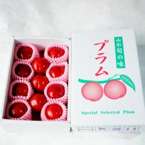 ふるさと納税 上山市 すもも(サマーエンジェル)1.2kg　ご家庭用　0012-2218