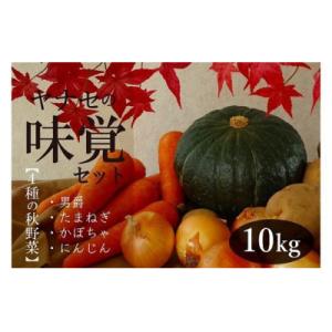 ふるさと納税 津別町 味覚セット　約10kg　ヤナセ農園/013-27093-b01A