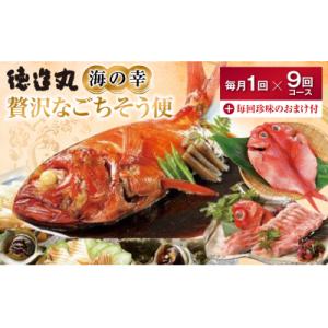 ふるさと納税 東伊豆町 (冷凍) 贅沢なごちそう定期便 毎月1回×9回+毎回人気の珍味付き I009 / 徳造丸 東伊豆町