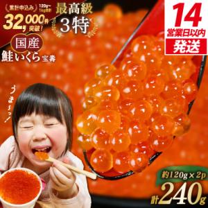【14日以内に発送】最高級3特 国産 味付 いくら 宝壽 醤油漬 120g×2 [20565081]