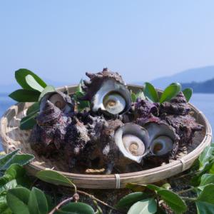 ふるさと納税 西ノ島町 活サザエ1.0kg