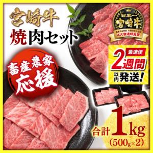 ふるさと納税 西都市 宮崎牛 焼肉セット700g 2種4等級以上　牛肉内閣総理大臣賞連続受賞![22...