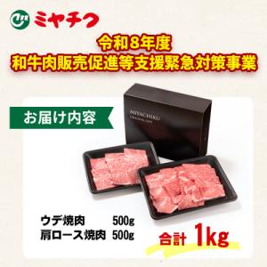 ふるさと納税 西都市 宮崎牛【1kg】焼肉セッ...の詳細画像1