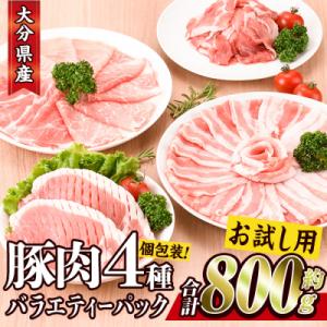 ふるさと納税 佐伯市 大分県産 豚肉 バラエティーパック(合計800g)