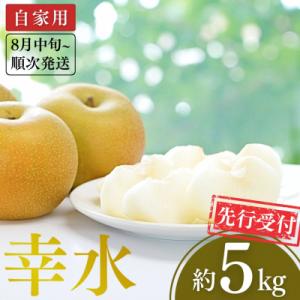 先行受付 和梨 幸水 自家用 約5kg 新潟県 三条市産 梨 [小林農園]【010P078】