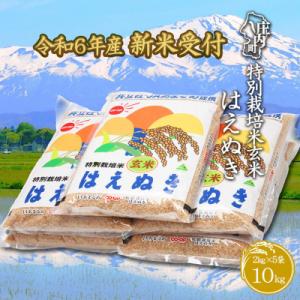 ふるさと納税 庄内町 【 新米受付 】　令和6年産米　特別栽培米玄米はえぬき　10kg