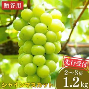 先行受付 シャインマスカット 1.2kg 果物 新潟県 三条市産 [小林農園]【013P027】